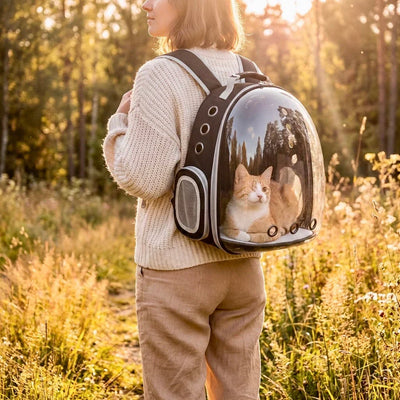 Sacs de transport
