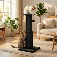 Griffoir design Cactus Arizona 81cm de HammiePets, modèle Saguaro avec 4 couleurs, en forme de cactus pour chats.