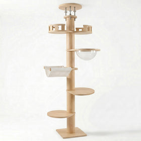 Tour sol-plafond Skyline XXL pour chat Maine Coon, structure multi-niveaux robuste et spacieux par HammiePets.
